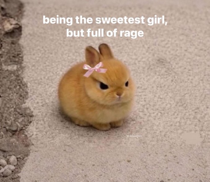 an angry looking bunny with a bow. says "being the sweetest girl but full of rage"